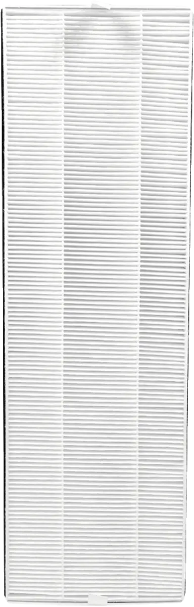 AP 300 HEPA filter voor de P300