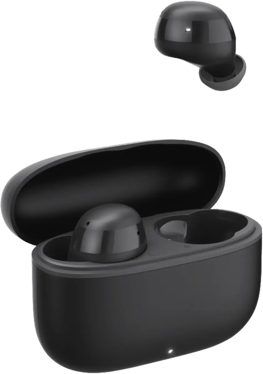 221758 Freedom Buddy II