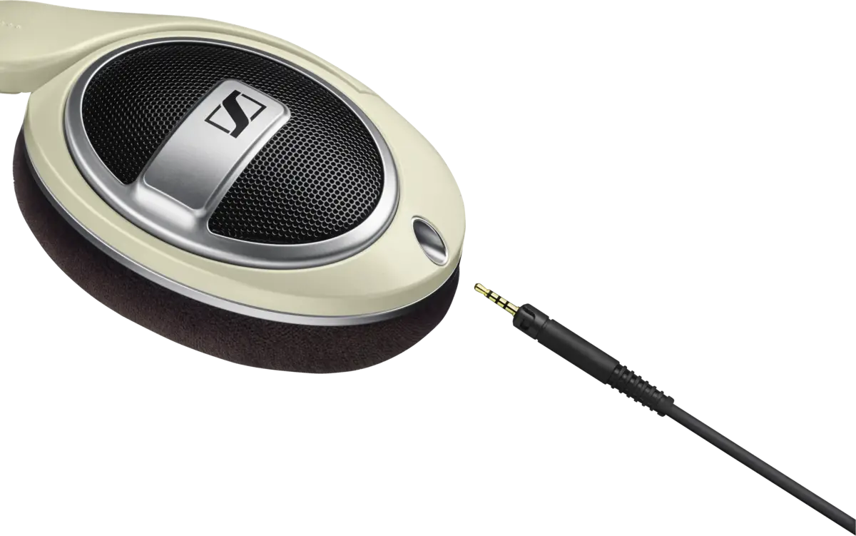 HD 599