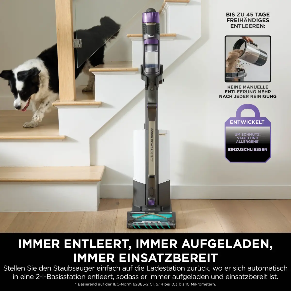 IP3251EUT