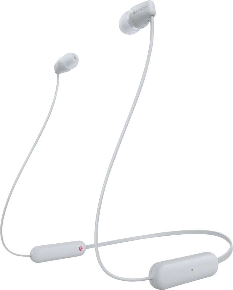 WI-C100