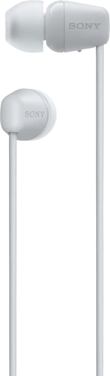 WI-C100