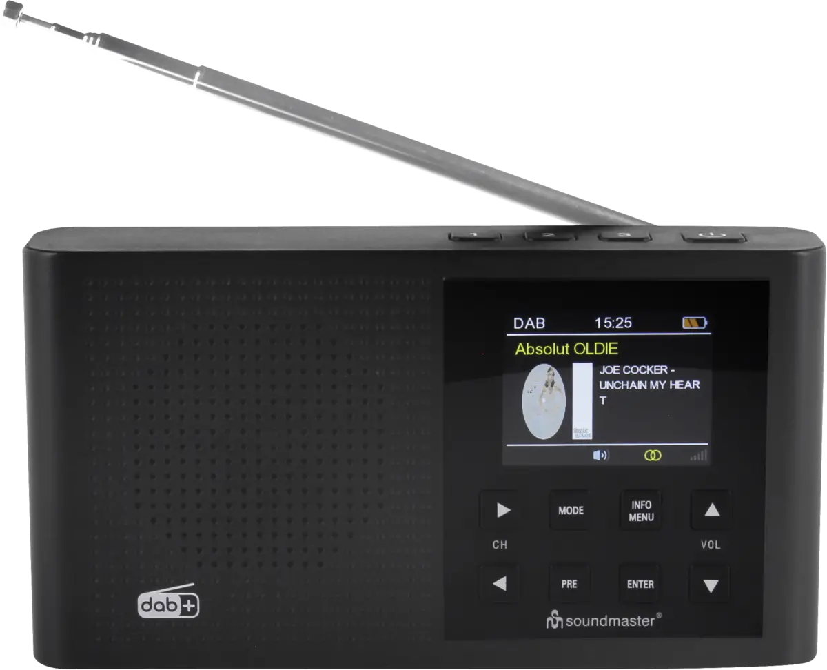 DAB165SW