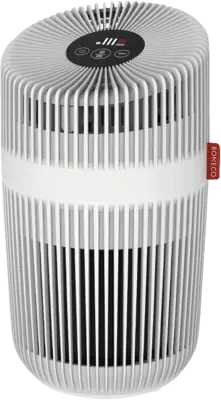 P 230 Luchtreinger met HEPA filter