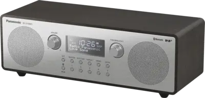 Panasonic RF-D100BTEGT
