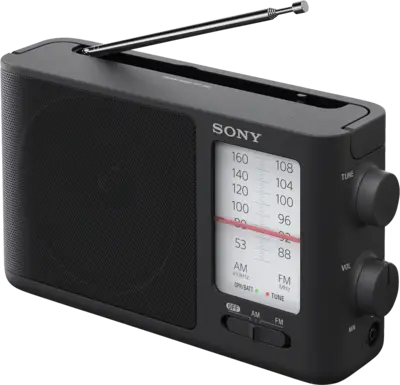 ICF-506