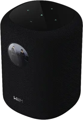 WiiM Sound zwart